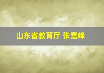 山东省教育厅 张嘉峰